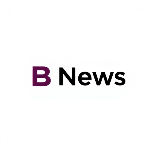 BNews